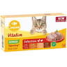 Carrefour companino terrine pour chat sénior aux viandes 4 barquettes de 100g