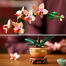 10343 - Lego botanicals - L'orchidée miniature
