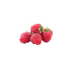 FRAMBOISE BIO BARQUETTE 125G
