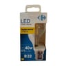 Carrefour ampoule LED fil standard 40W B22
