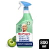 Mr propre spray système anti-poussière apple 800ml