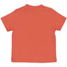 Tee shirt manches courtes garçon SAFRAN 24MOIS