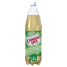 Canada Dry  bouteille 1,5l