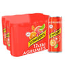 Schweppes agrumes boite slim 12x33cl