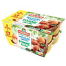 Andros dessert fruitier pomme nature sans sucre ajoutés 8 + 4 offerts