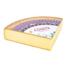 COMTE CARDAMINE 18 MOIS MINI
