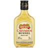 Sylvain calvados vieilli en fut de chene blister 20cl 40%vol