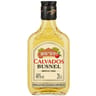 Sylvain calvados vieilli en fut de chene blister 20cl 40%vol