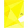 Carrefour cahier agrafe 210x297 96 pages seyes polypro