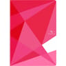 Carrefour cahier agrafe 210x297 96 pages q5/5 polypro
