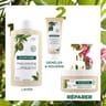 Klorane cupuacu bio masque reparation 150ml