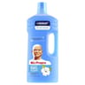 Mr propre dilué coton 1.5l