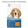Carrefour companino croquettes pour chien adulte medium/maxi au poulet -3kg