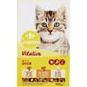 Carrefour companino croquettes pour chat junior au poulet, aux carottes avec du lait - 400g