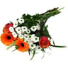 Bouquet composé fête de la musique
