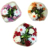 Bouquet composé sirius