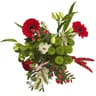 Bouquet composé sirius
