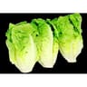 Salade sucrine 3 pieces carrefour le marche
