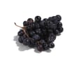 RAISIN NOIR SANS PEPIN BARQUETTE 500G CARREFOUR LE MARCHE