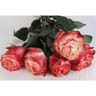 Bouquet de 5 roses 50 cm très gros bouton
