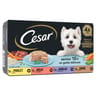 Cesar pâtée pour chien senior 4 variétés en gelée 4x150g