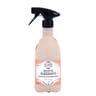 Les secrets de leontine recette dégraissante spray 480ml