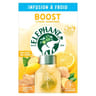 Eléphant infusion à froid bien être gingembre citron sans sucres 15 sachets