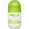 Carrefour soft déodorant bille 24h à l'aloe vera 50ml