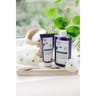 Klorane centauree bio shampoing dejaunissant 400ml