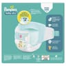 Pampers baby-dry couches  taille 3 de 6 à 10kg x 112