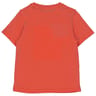Tee shirt manches courtes garçon ORANGE 10 ANS