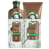 Herbal essence base shampooing sh+cd coco 250/200ml
