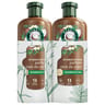 Herbal essences base shampooing coco 2x250ml