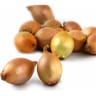 OIGNON JAUNE SAUCIER 500G