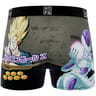 BOXER MICROFIBRE HOMME DRAGON BALL FREEGUN DBZ L