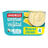 Andros gourmand & végétal brassé citron 4x100g