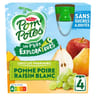 Pom'Potes compotes gourdes les p'tits explorateurs les pharaons 4x90g