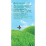 Pom'Potes compotes gourdes pomme nature 12x90g