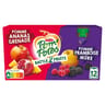 Pom'Potes compotes gourdes battle 2 fruits pomme ananas grenade 12x90g
