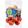 Pomme royal gala fqc sachet 1.5 kg