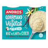 Andros gourmand & végétal riz au lait coco vanille de Madagascar 4x100g