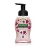 Palmolive douceur magique savon liquide mousse framboise 250ml