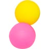 Filet 2 balles de beach ball