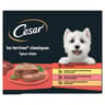 Cesar barquettes les terrines classiques pour chien adulte 4 variétés