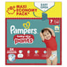Pampers baby dry pants maxi t7 x62