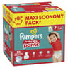 Pampers baby dry pants maxi t7 x62