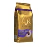 L'or absolu café en grains intensité 10 1000g