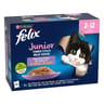Felix tendres effilés junior 12x85g - 1020g