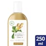 Dove huile de douche pouvoir des plantes gingembre 250ml