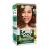 Garnier belle color naturals coloration permanente 5.3 châtain clair doré